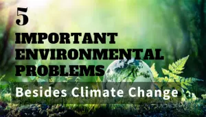 5 Important Environmental Problems besides Climate Change (Infographic)