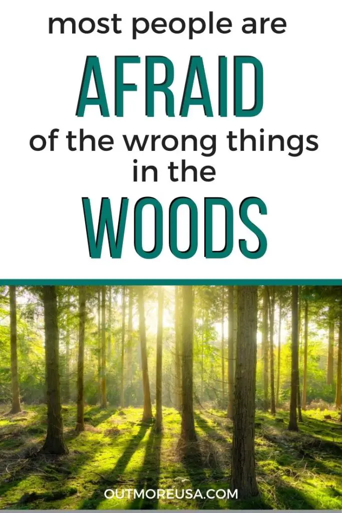 Most People are Afraid of the Wrong Things in the Woods - OutMore